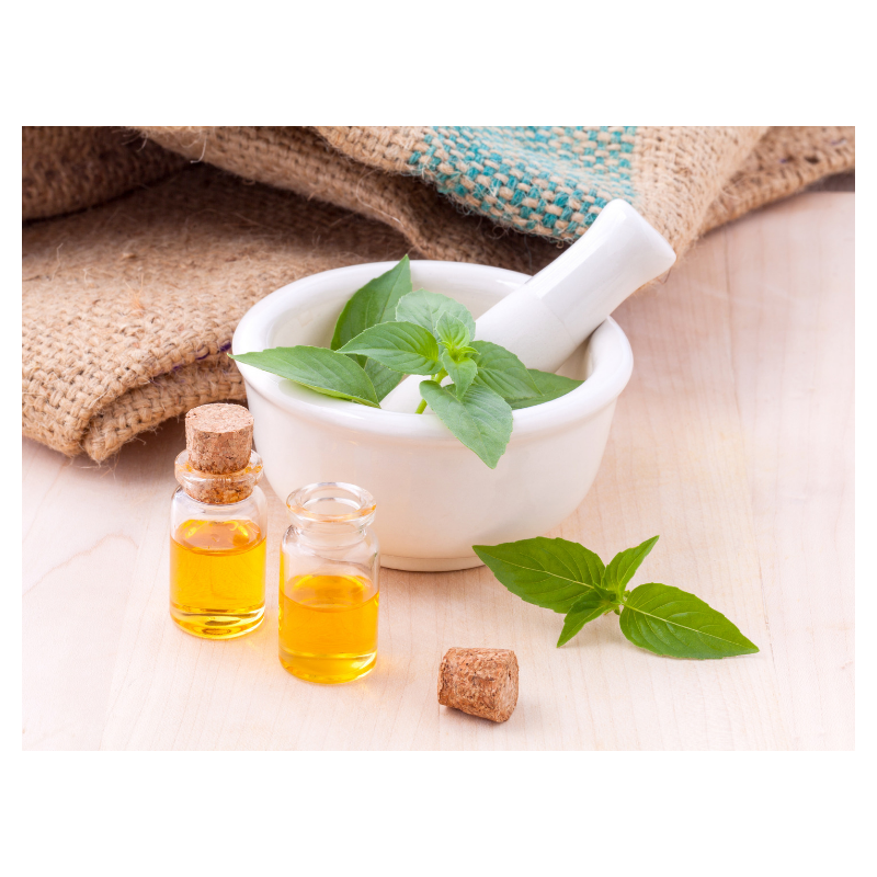 Peppermint Essential Oil for Immunity….and 7 Other Uses